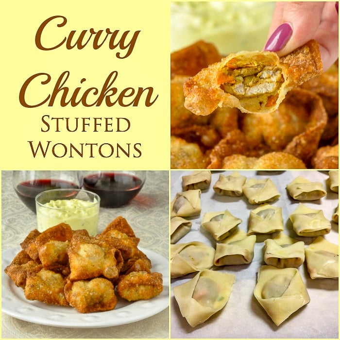 Curry Chicken Stuffed Wontons photo collage square