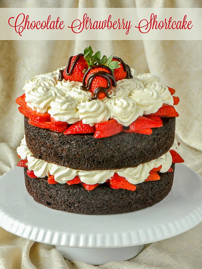 Easy Chocolate Strawberry Shortcake image with title text