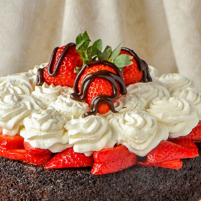 Easy Chocolate Strawberry Shortcake close up shot of top of cake