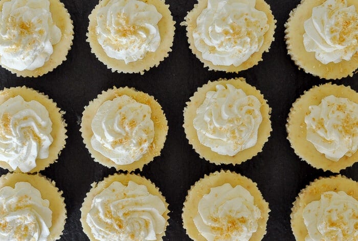 Coconut Cream Cheesecake Cupcakes