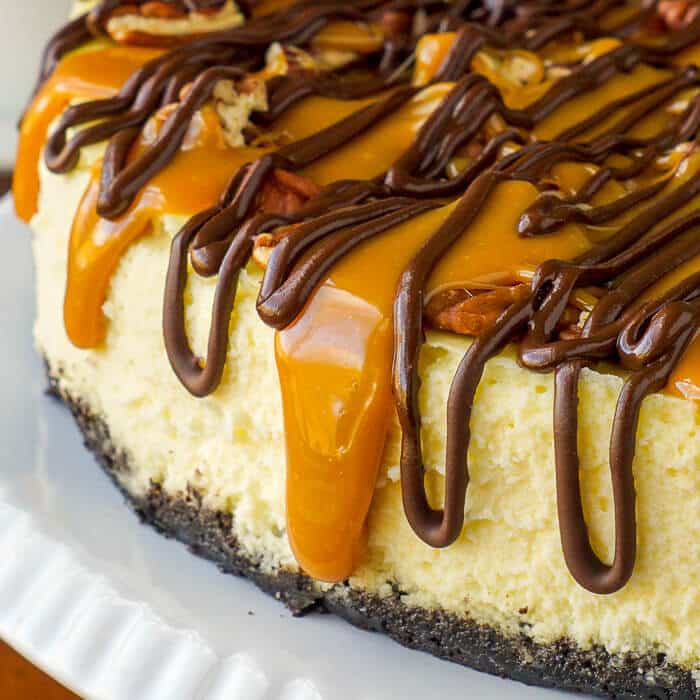 Turtle Cheesecake close up photo