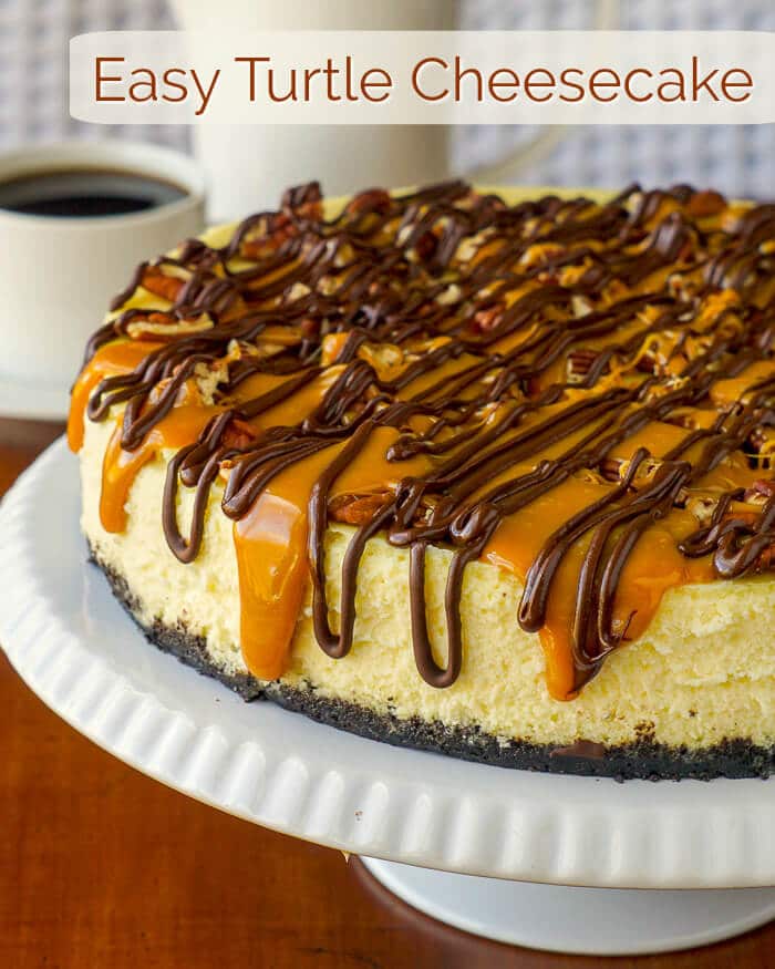 Turtle Cheesecake image with title text.