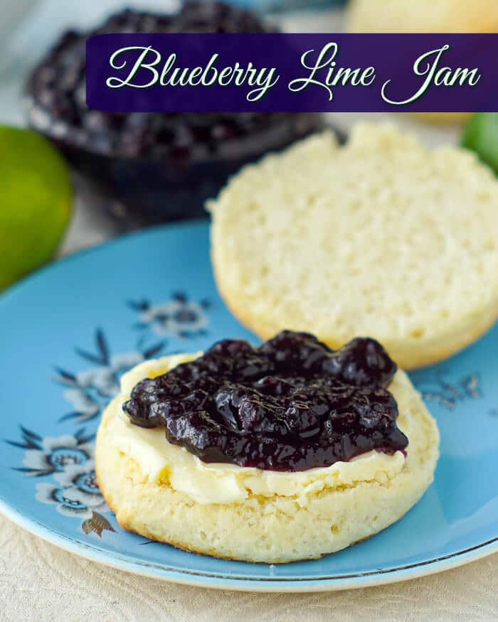 Newfoundland Blueberry Jam with Lime image with title text