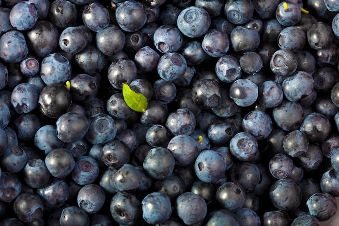 Fresh blueberries close up.