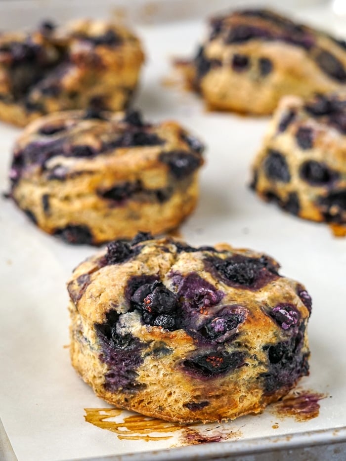 Blueberry Scones, Whole wheat and no sugar added. Photo shows the scones just out of the oven