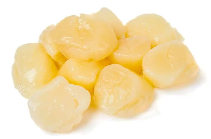 Pile of peeled raw scallops isolated on white