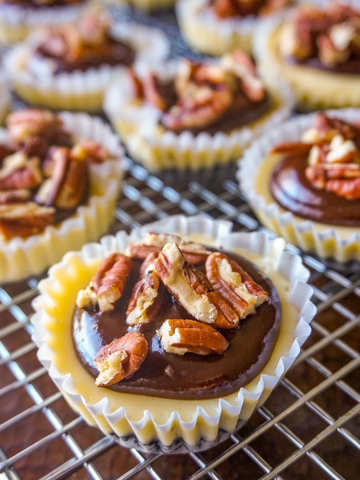 Mini Turtle Cheesecakes minus the caramel topping