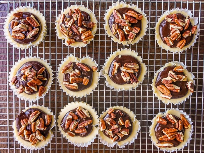 Mini Turtle Cheesecakes overhead shot without the caramel topping