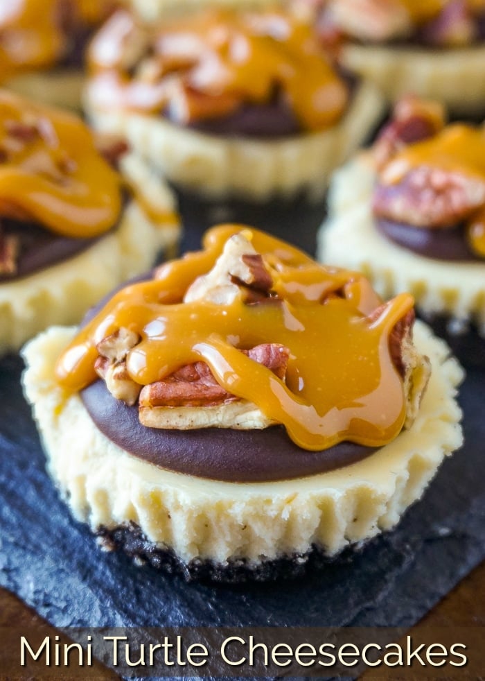 Mini Turtle Cheesecakes photo with title text for Pinterest