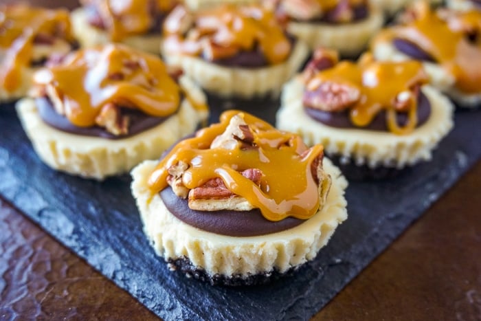 Mini Turtle Cheesecakes vertical wide shot on a slate serving platter