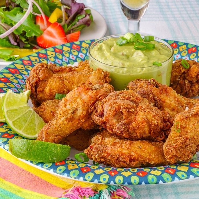 Taco Wings on a multicoloured Plate with Guacamole Dip