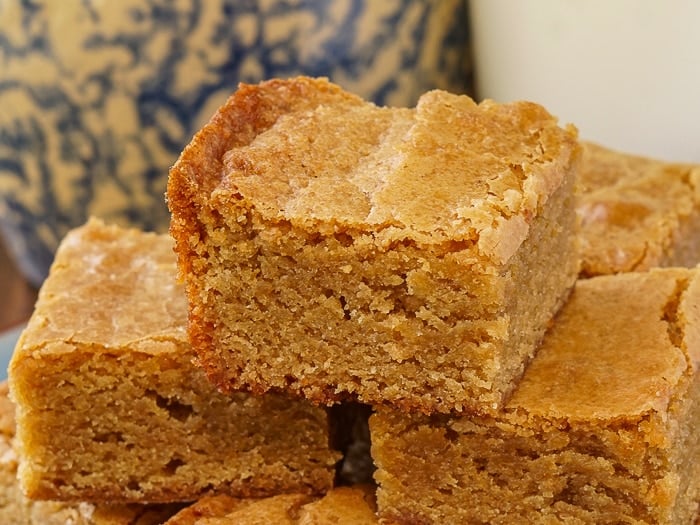 The Best Blondies close up photo of one cookie