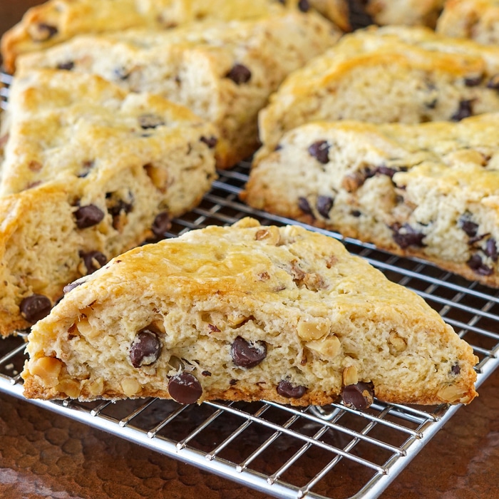Chocolate Chip Walnut Scones close up photo of one scone for featured image