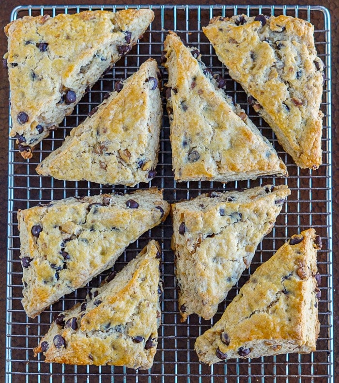 Chocolate Chip Walnut Scones overhead shot of scones cooling on a wire rack.