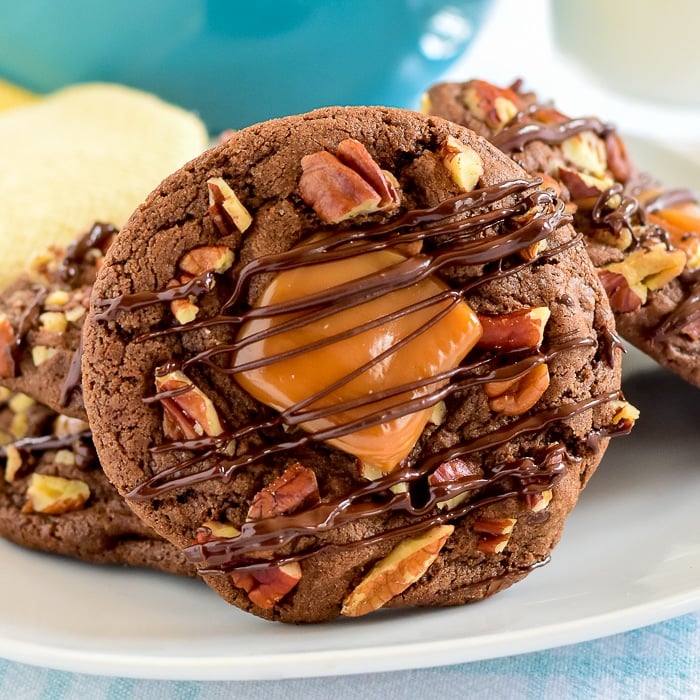 Close up photo of Turtle Cookies for featured image