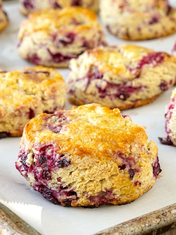 Cranberry Scones close up photo of scones on a baking sheet fresh from the oven.