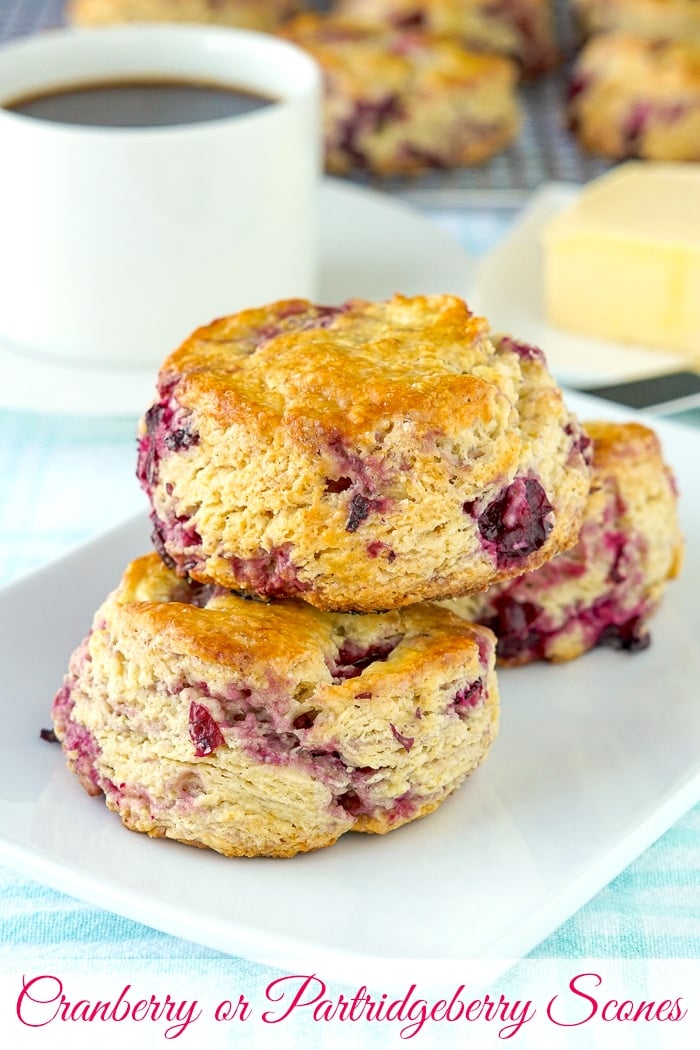 Cranberry Scones photo with title text for Pinterest