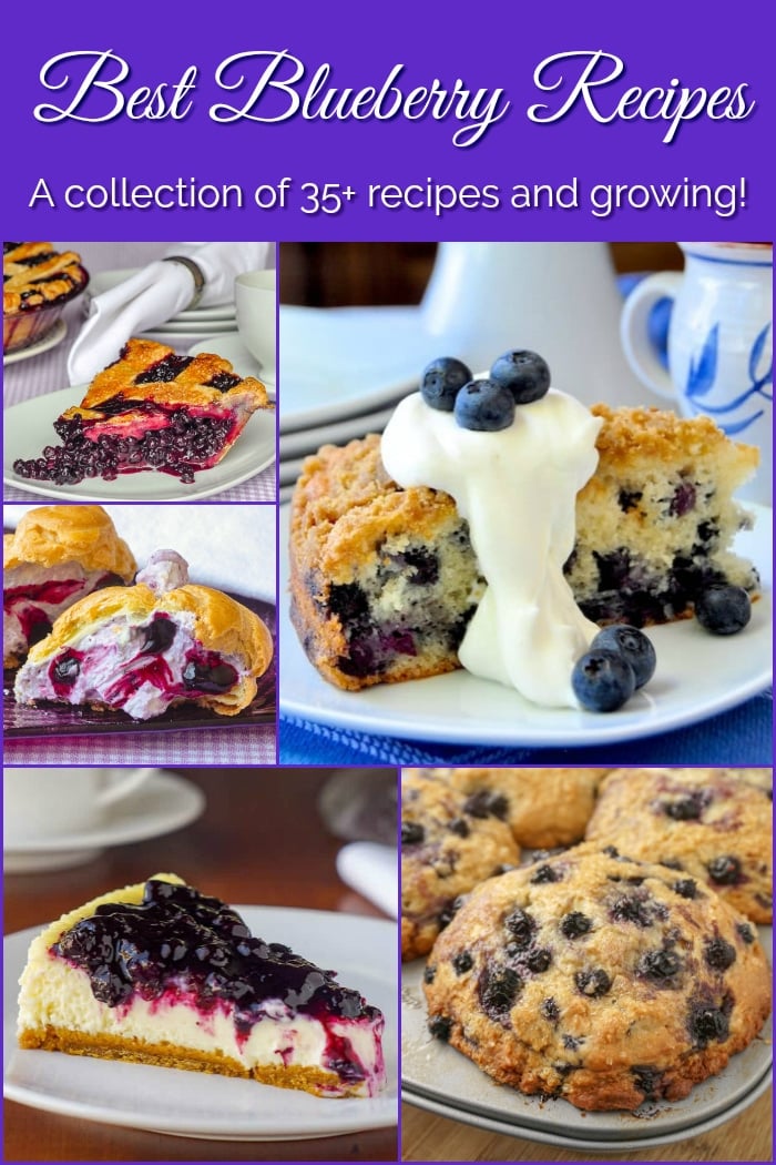 Best Blueberry Recipes photo collage with title text added for Pinterest