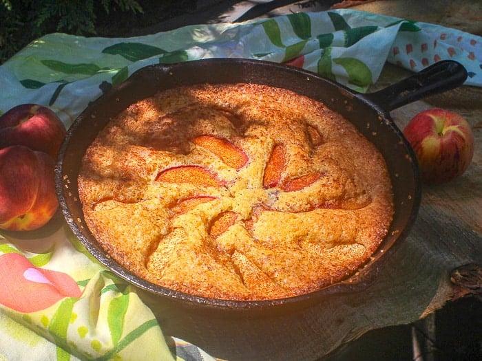 Easy Peach Torte shown in dappled sunlight in the garden