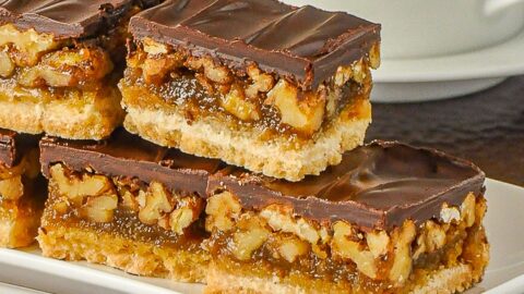 Chocolate Pecan Bars closeup square cropped photo of cookie bars on a white plate-1