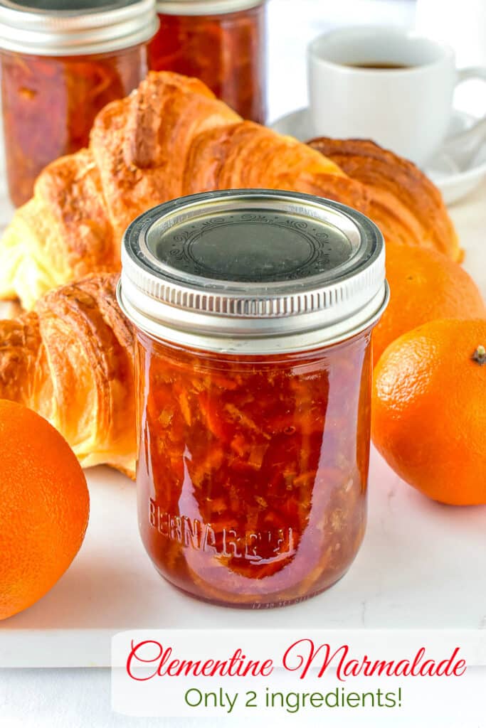 Clementine Marmalade. With only 2 ingredients! Terrific Christmas gifts too!