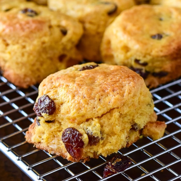 Custard Tea Buns close up photo of one bun with raisins