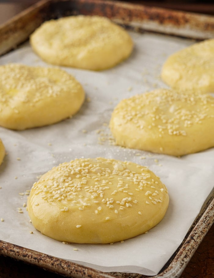 How to make the best hamburger buns recipe photo showing buns egg washed and sprinkled with sesame seeds before going in the oven