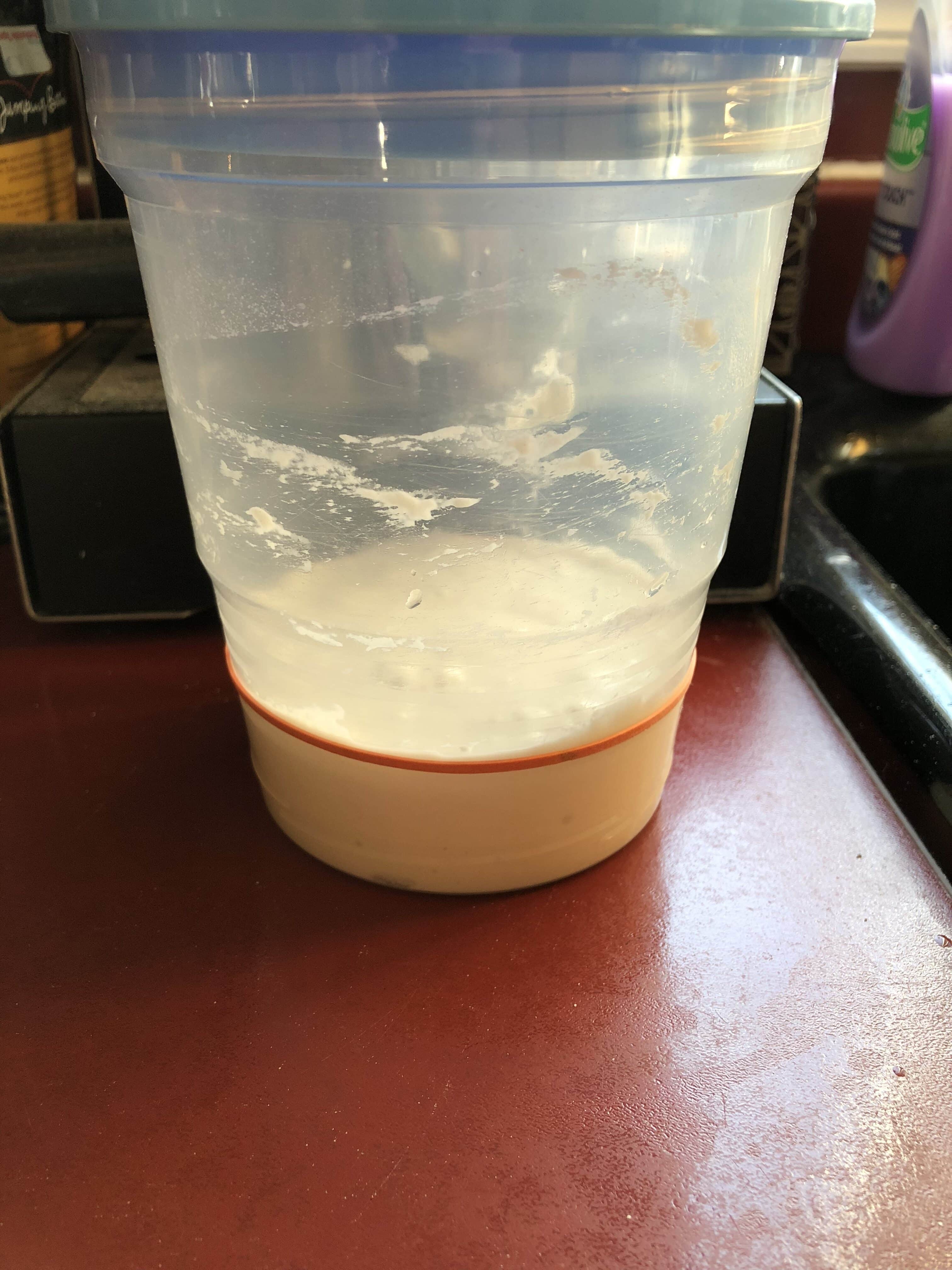 How to make a sourdough starter photo showing beginning of feeding