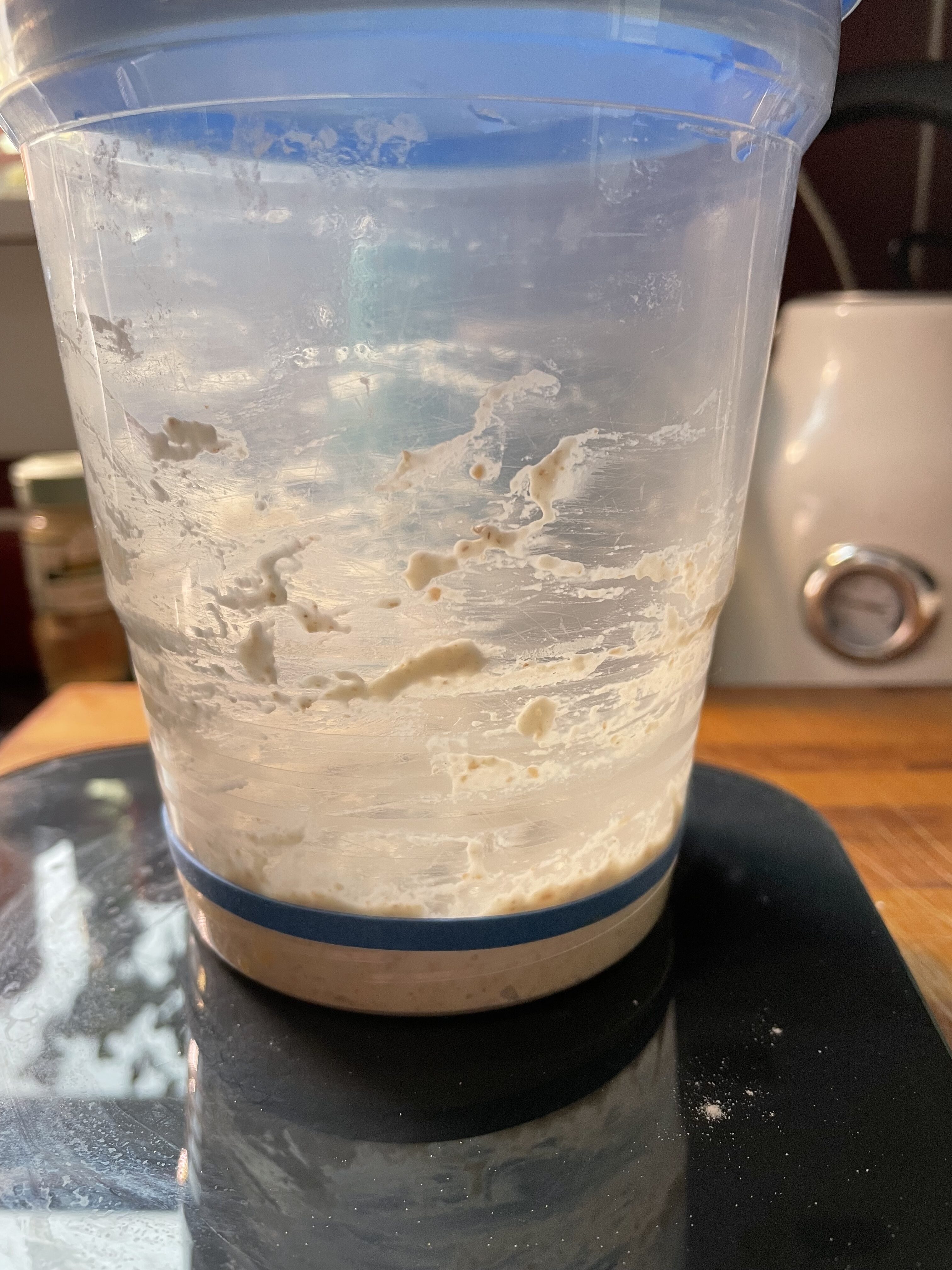 How to make a sourdough starter photo showing elastic band around container.