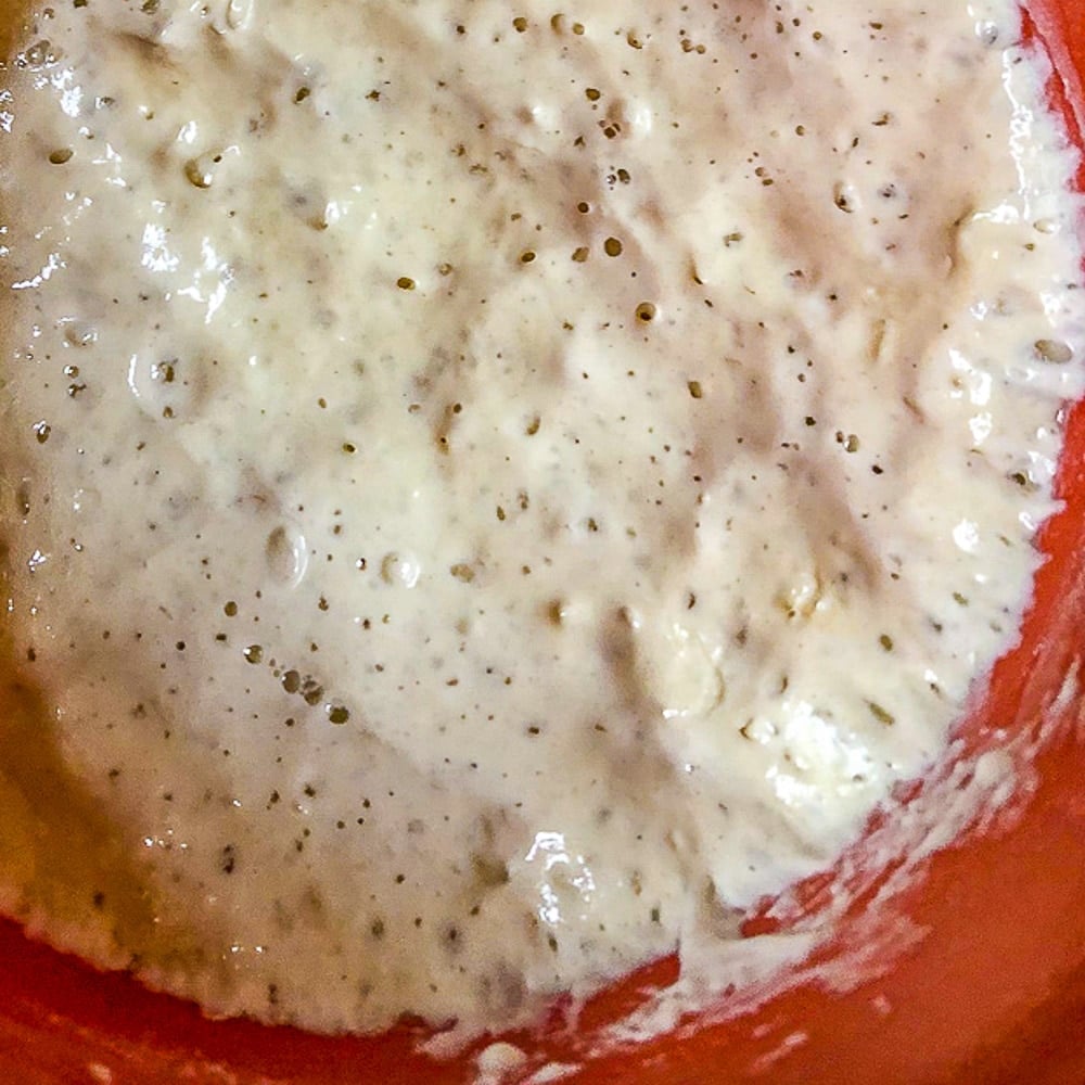 How to make a sourdough starter