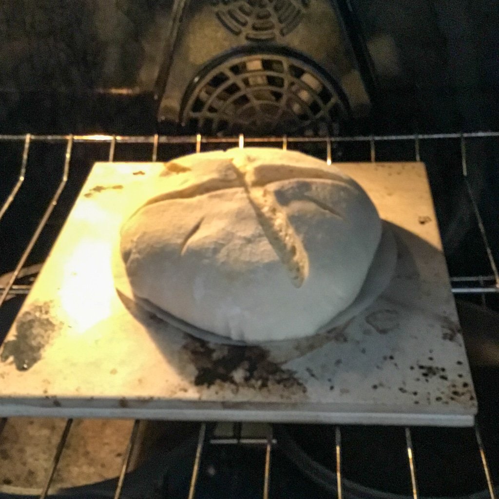 bowl over dough in oven