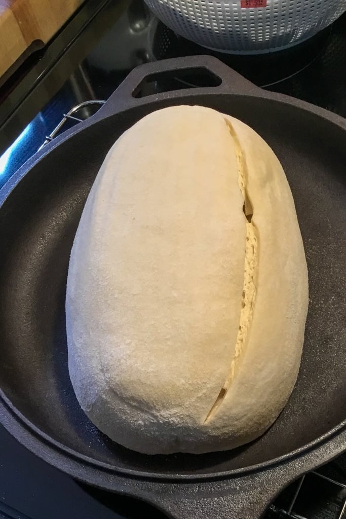 How to make artisan sourdough . Photo of dough in a lodge combo cooker.