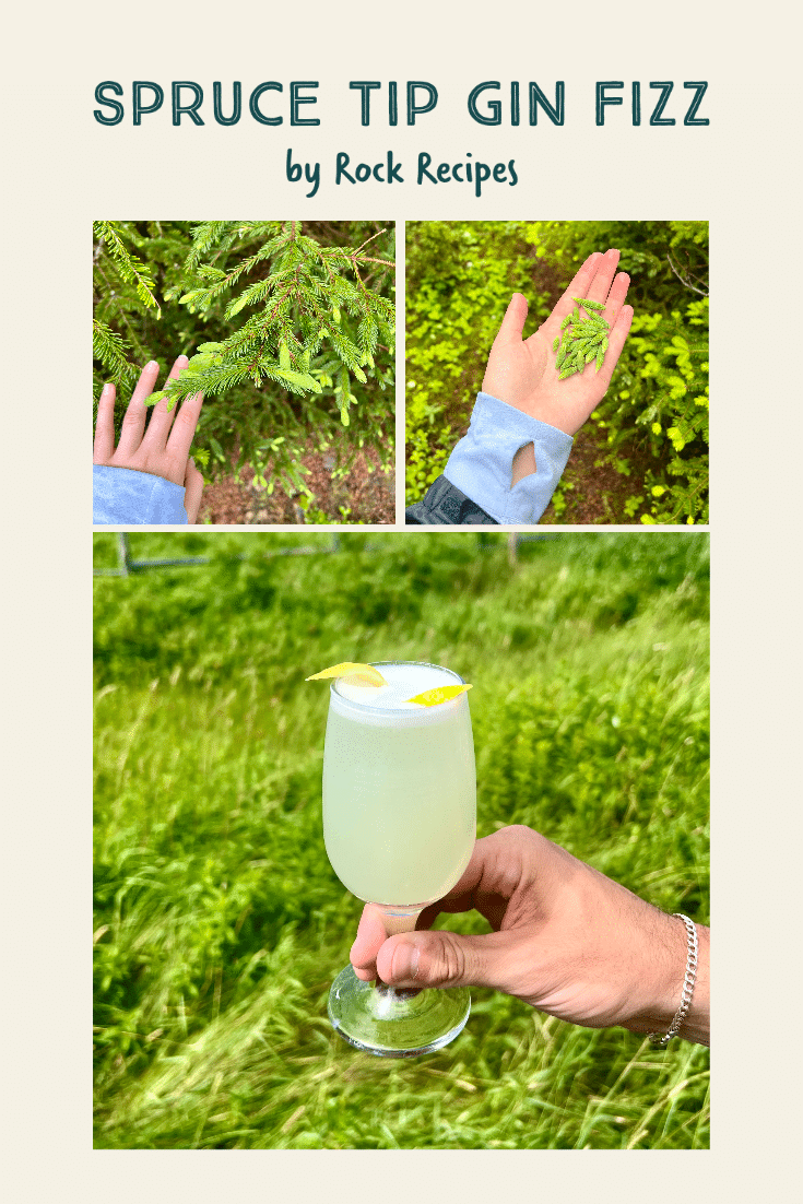 An image collage featuring a cocktail, foraged spruce tips, and text that reads "Spruce Tip Gin Fizz by Rock Recipes."