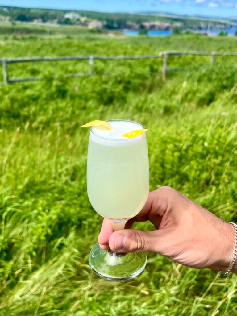 A gin fizz cocktail held in front of a grassy field and the ocean.