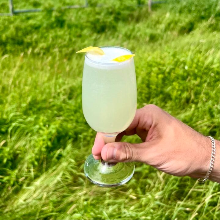 A Spruce Tip Gin Fizz Cocktail held in front of a grassy field.