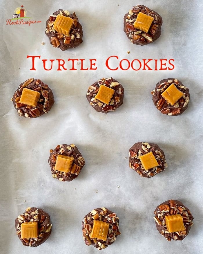 Turtle cookies on parchment paper with title text added for social media.