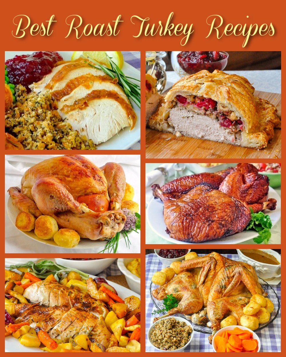 Best Roast Turkey Recipes collage with titlw tezxt added for Pinterest and social media