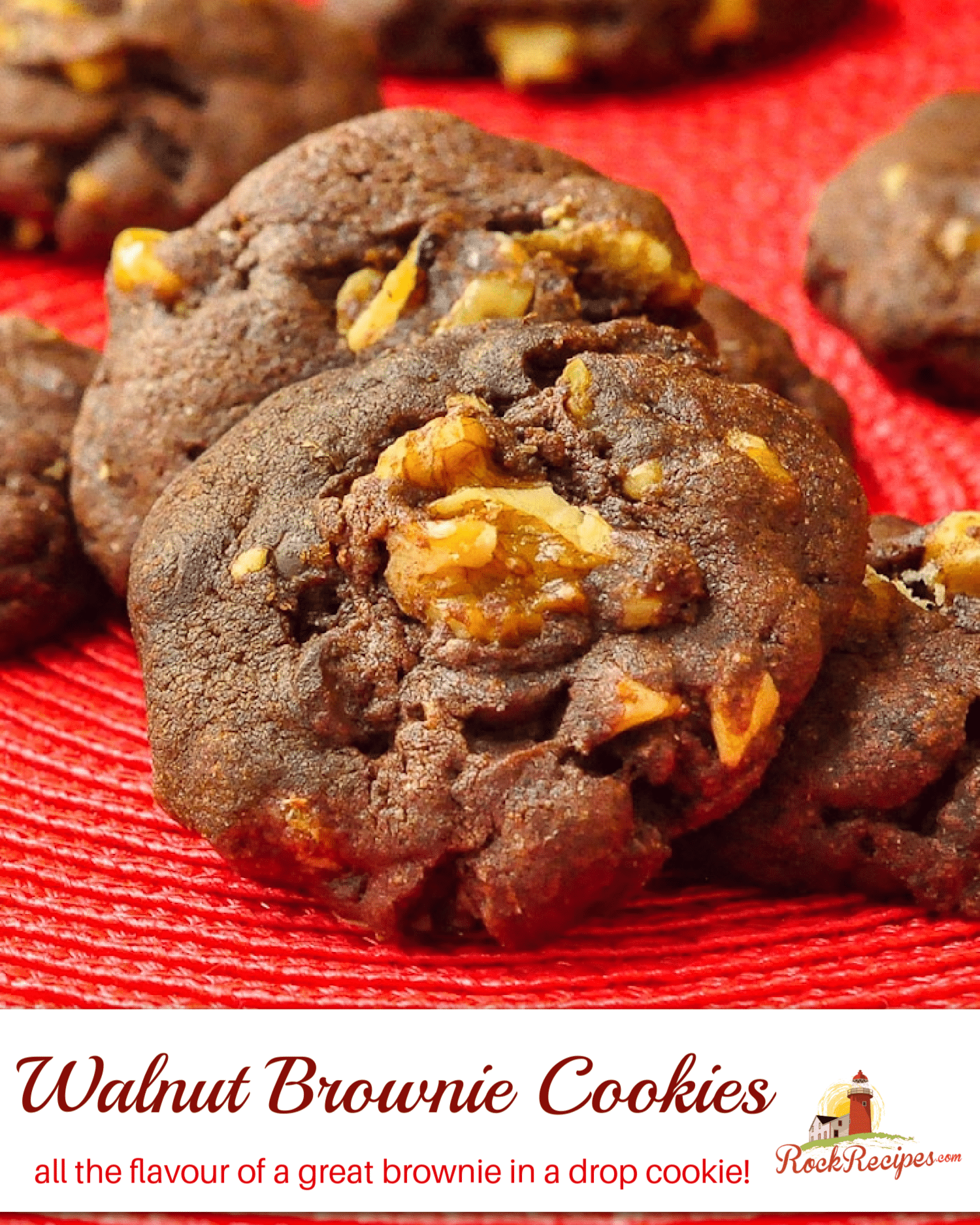 Walnut Brownie Cookies close up photo with title text added for social media posts.