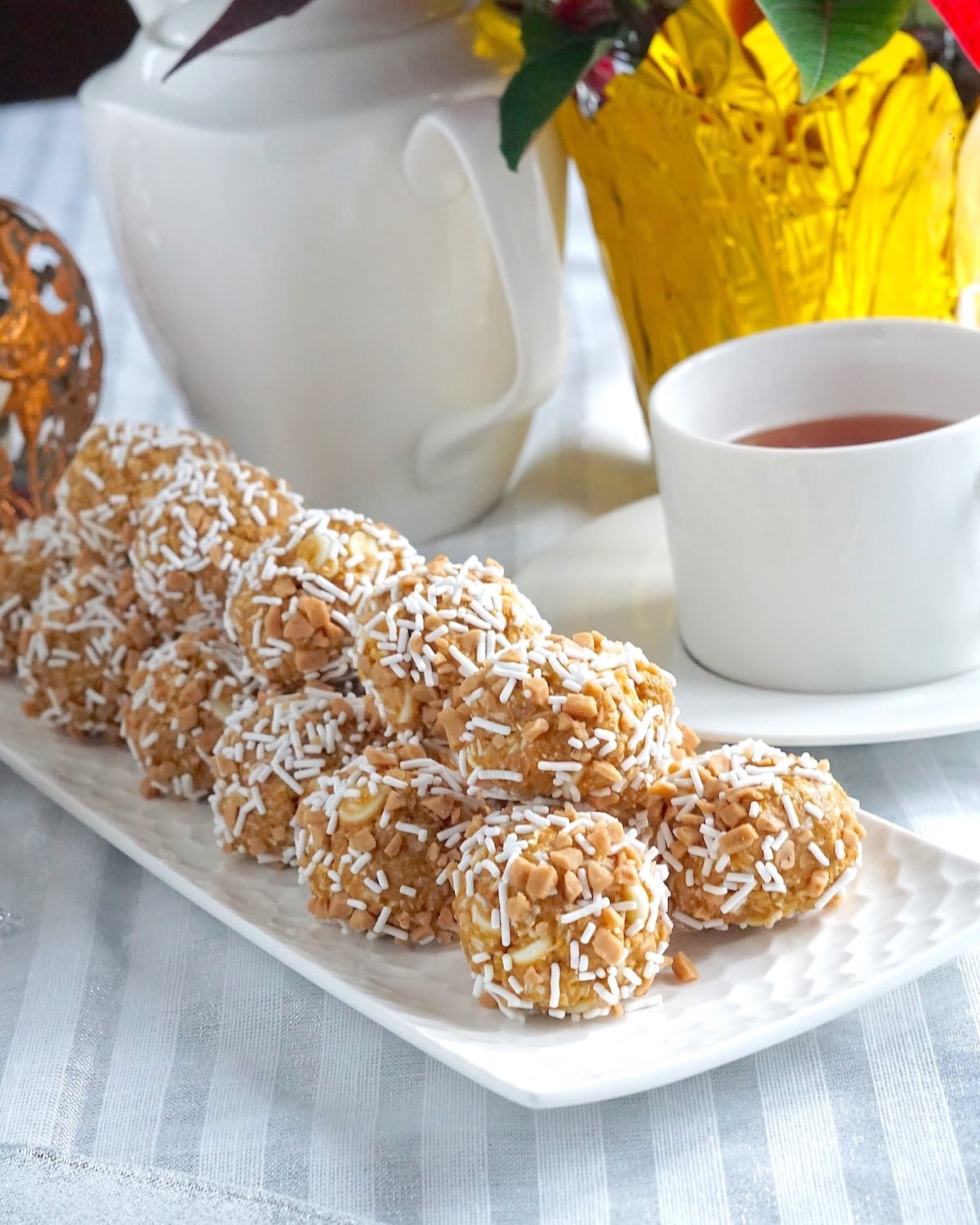 Caribou Farts.photo with poinsettia in background