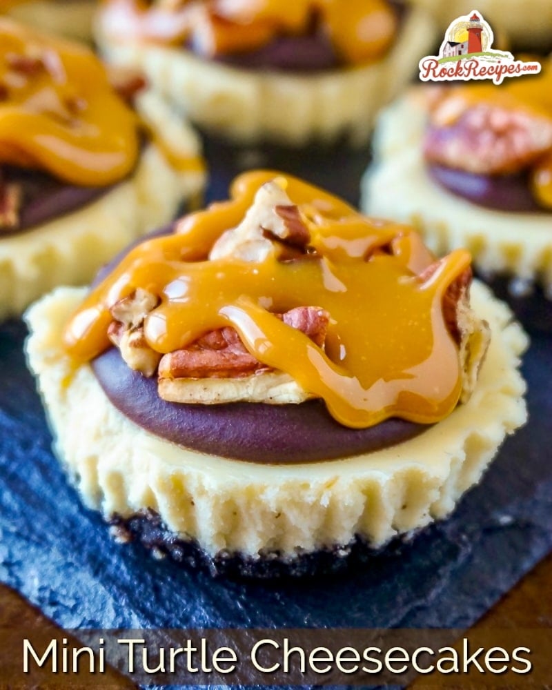 Mini Turtle Cheesecakes photo with title text for social media posts.
