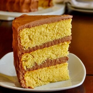The Best Yellow Cake photo of one slice for featured Google image