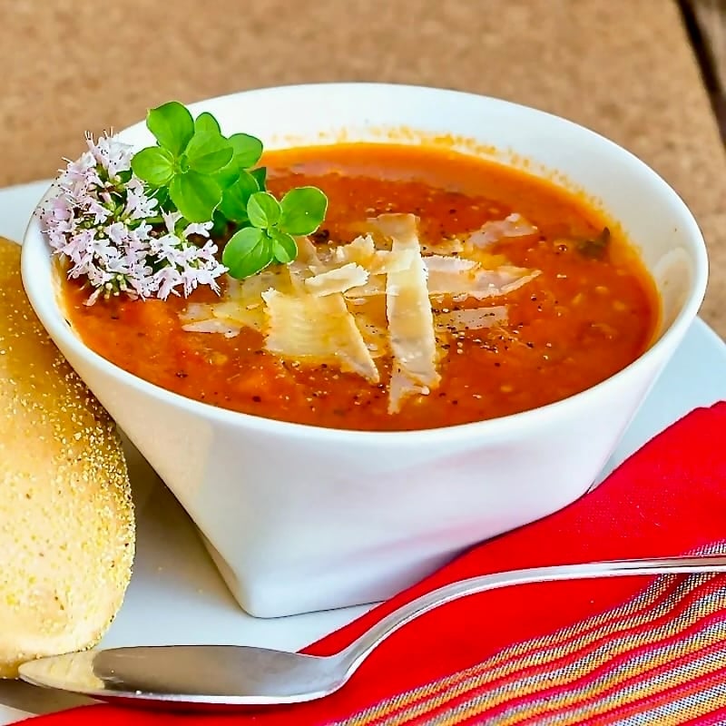 Chunky Tomato Oregano Soup close up photo of a single serving in a white bowl