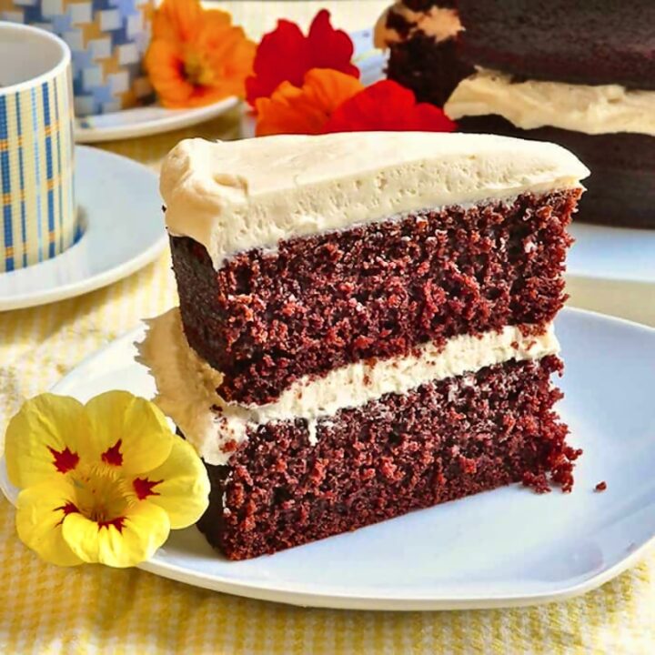 Chocolate Velvet Cake photo of one slice for featured Google image.