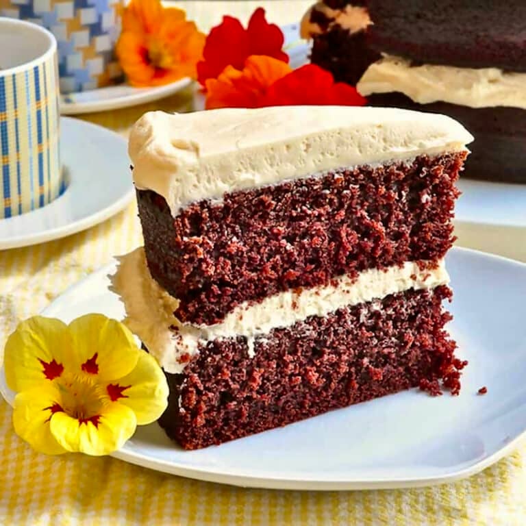 Chocolate Velvet Cake photo of one slice for featured Google image.