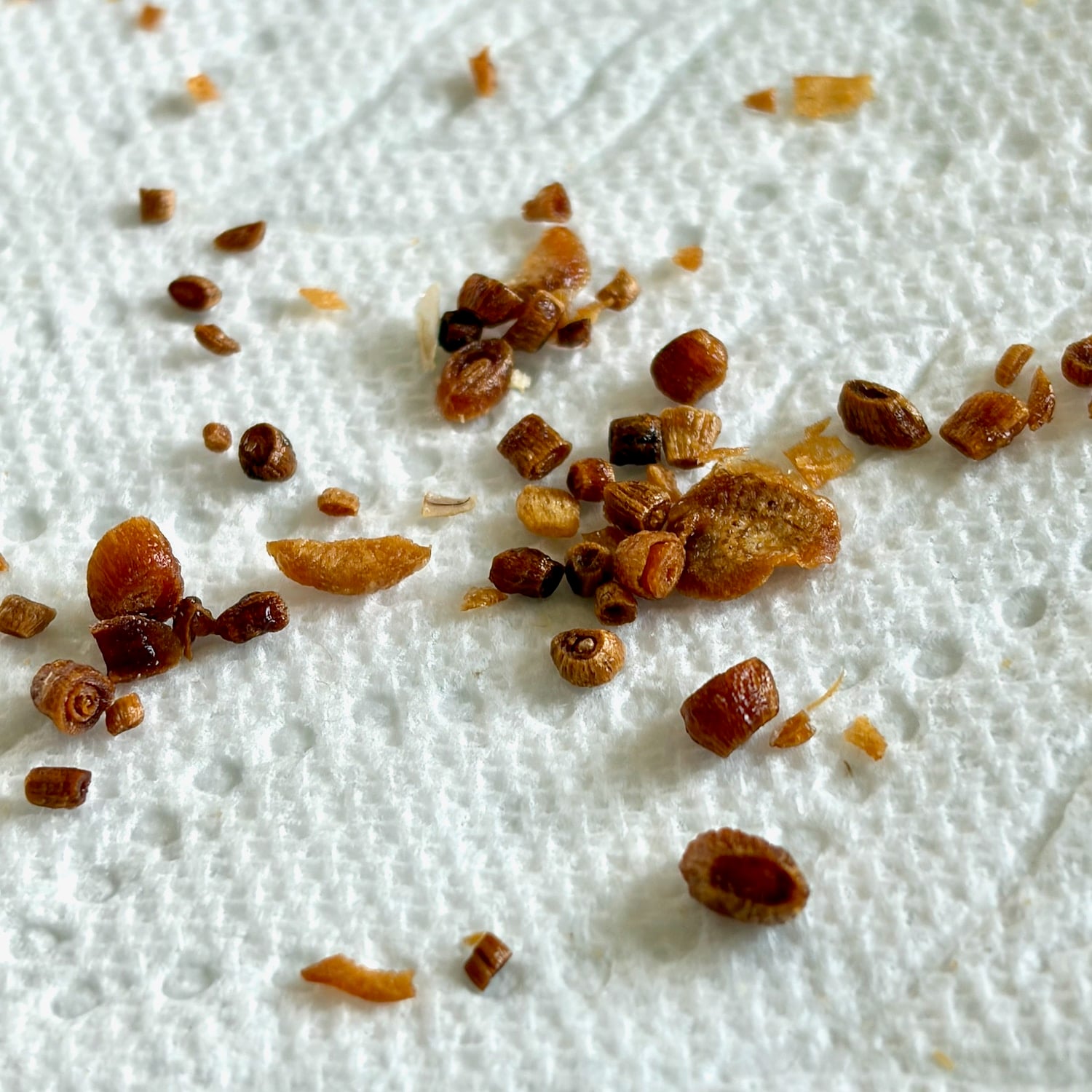 Photo of the centers of the slices of fried garlic that have popped out.