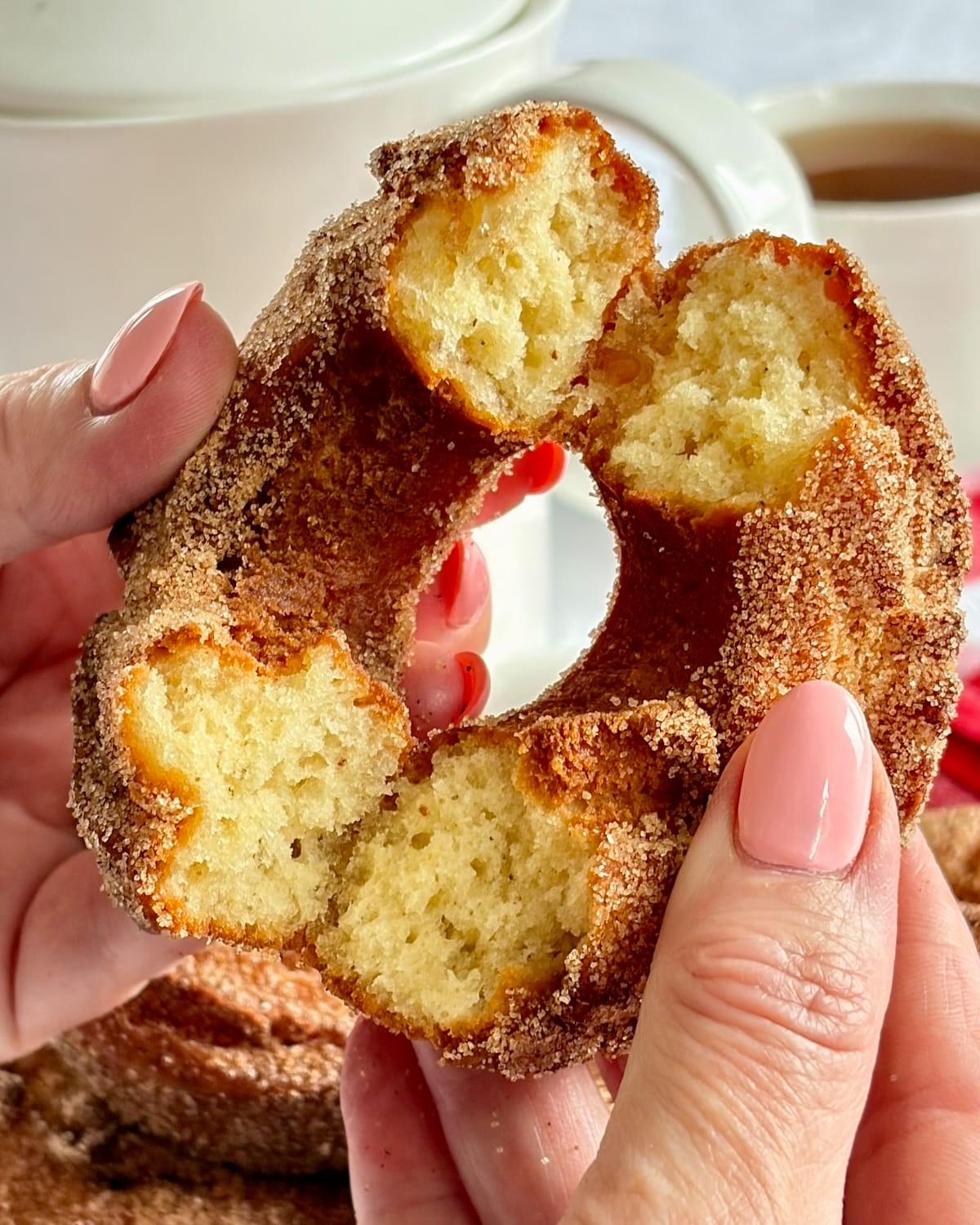 Photo of one sour cream donut with cinnamon sugar being broken open to show interior
