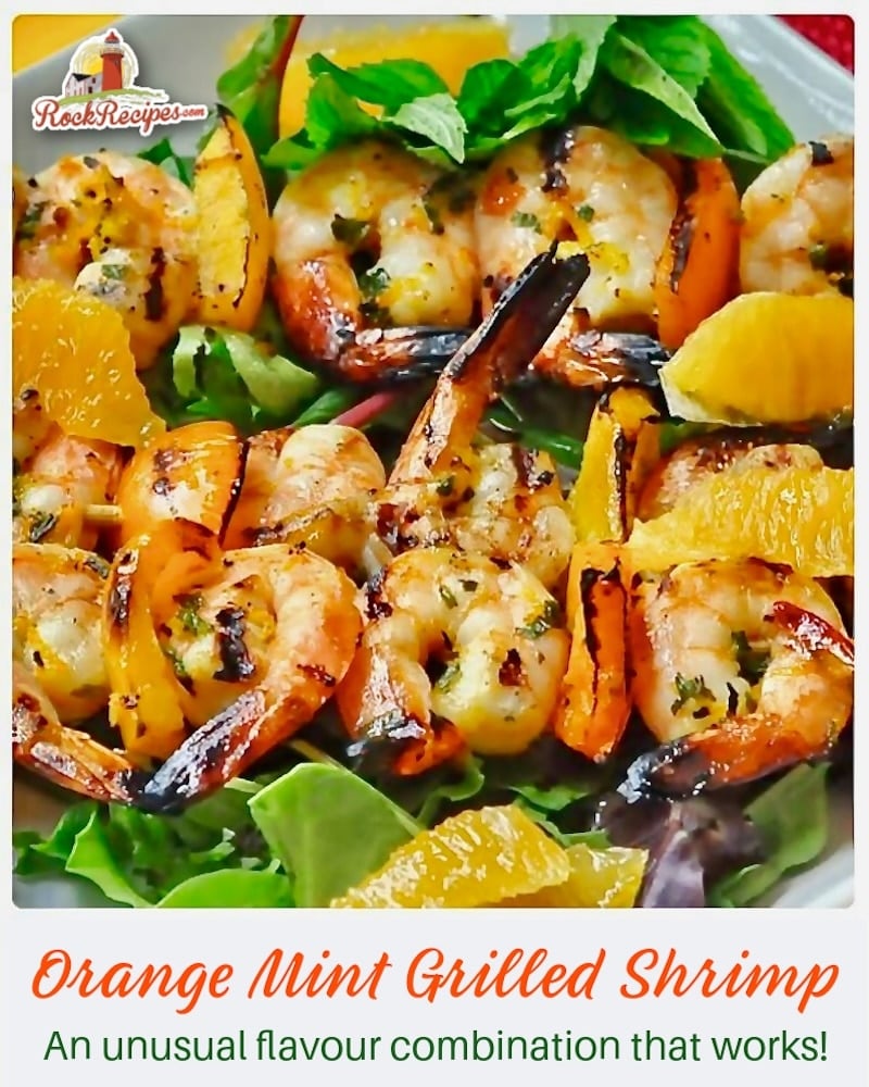 Orange Mint Grilled Shrimp close up photo