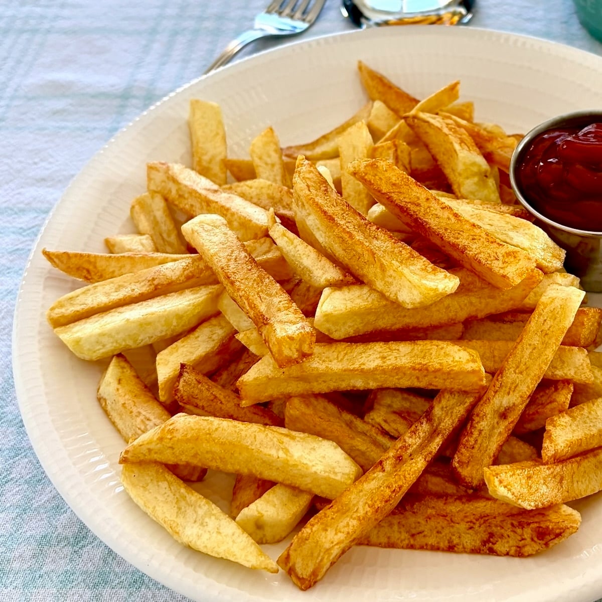 Cold Oil French Fries close up photo of one serving in a white plate.
