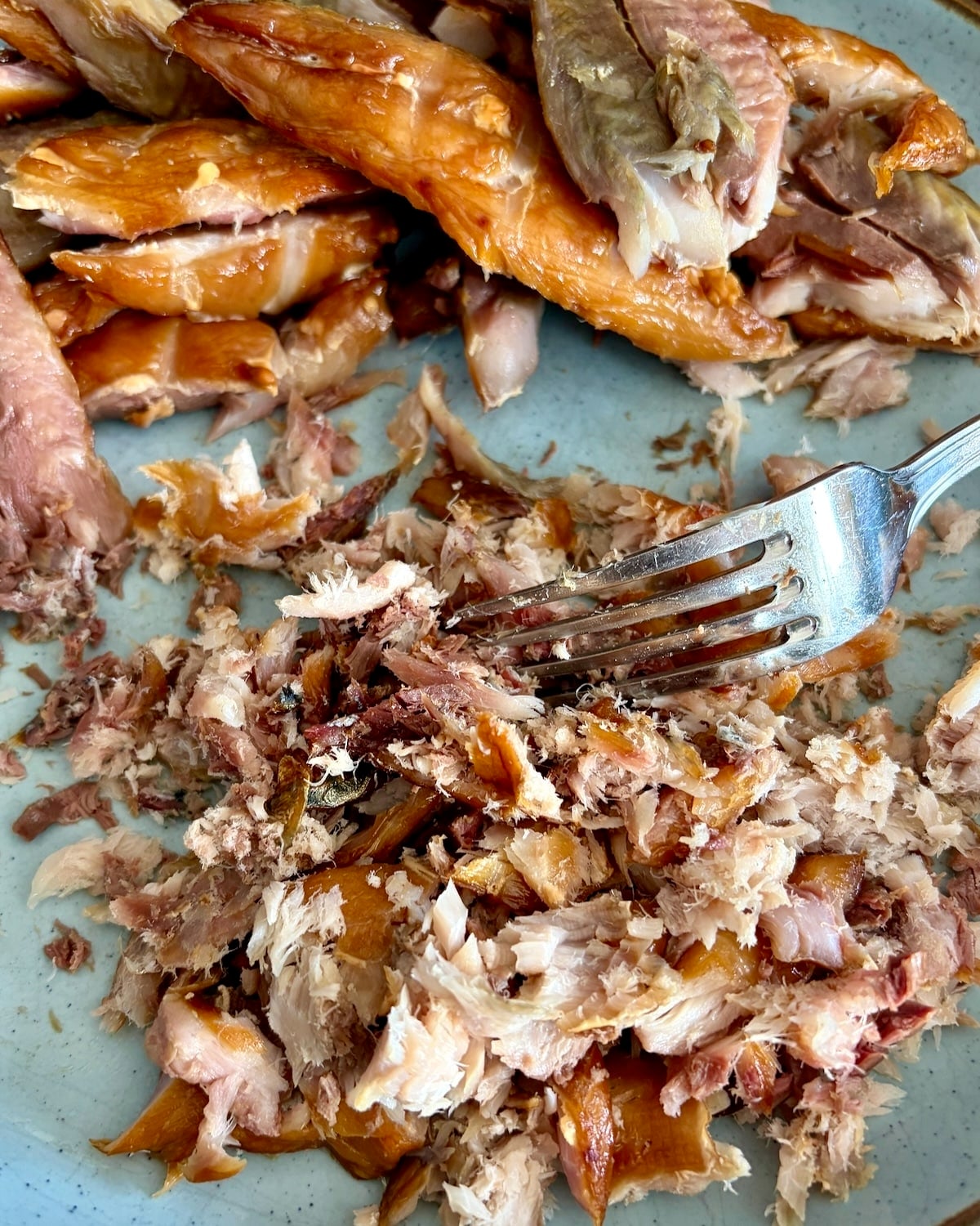 Photo of the fish being flaked with a fork.