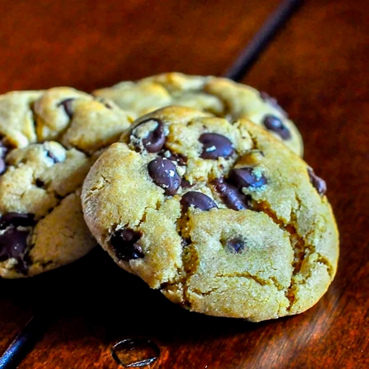 The Best Peanut Butter Chocolate Chip Cookies Close up photo of 1 cookie on a wooden table top.